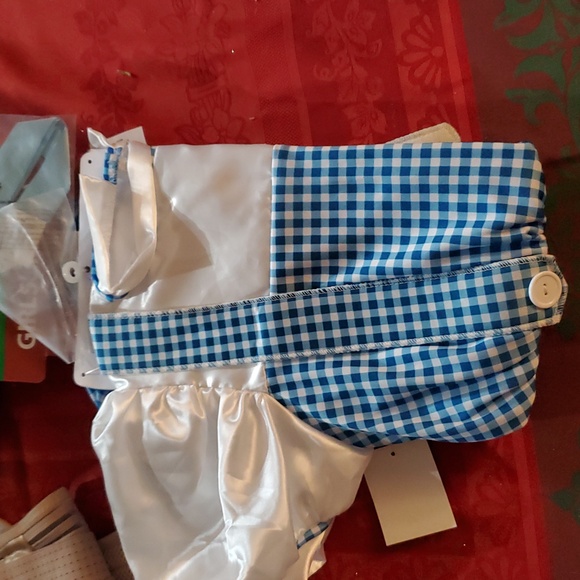 Rubie's Wizard of Oz Dorothy Costume - Blue and White Size 7 / 8 - Picture 2 of 4